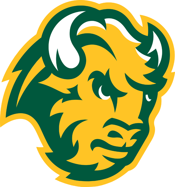 North Dakota State Bison 2012 Unused Logo iron on paper